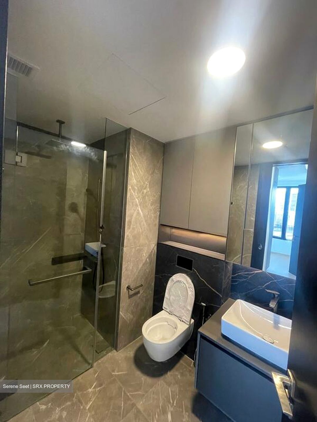 Irwell Hill Residences (D9), Apartment #496345061